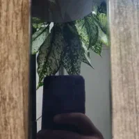 iphone 13pro max ایفون ۱۳ پرو مکس|موبایل|تهران, مشیریه|دیوار