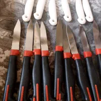 میوه خوری و کارد میوه خوری کاسه انار خوری|ظروف سرو و پذیرایی|شیراز, تلخ داش|دیوار