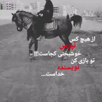 اسب نریان پر خون سواری دار|اسب و تجهیزات اسبسواری|قم, جمکران|دیوار