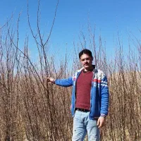 نهال شناسه دار نهالستان محسن|خدمات باغبانی و درختکاری|تیران, |دیوار