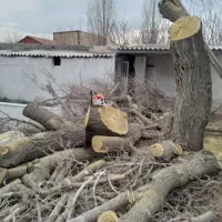 خریدتنه الوار قطعه حرفه ای درخت چوب داخل دربندبیشه|خدمات باغبانی و درختکاری|اراک, |دیوار