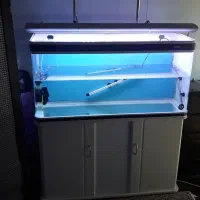 اکواریوم ۱۲۰ ماهیران|ماهی|کرج, باغستان|دیوار