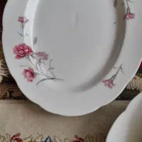 تعدادی چینی قدیمی قیمت ۲۵۰