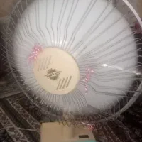 پنکه پارس خزر|پنکه و تصفیهکنندهٔ هوا|مشهد, همت آباد|دیوار