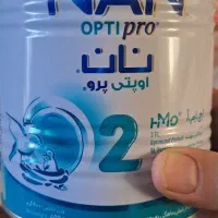قوطی