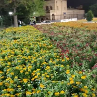 فروش-زمین-کشاورزی-سه-و-نیم-هکتار