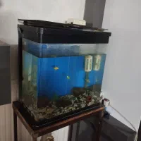 آکواریوم شیشه خم جنس خوب