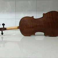ویولن دست ساز|ویولن|سقز, |دیوار