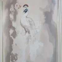 رنگ آمیزی ساختمان|خدمات پیشه و مهارت|عقدا, |دیوار