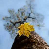 نیازمند نیروی جوان درمشاور املاک زیر 20سال