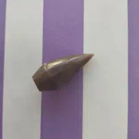 سنگهای عقیق و شجر برای پلاک|جواهرات|فولادشهر, مسکن مهر فولادشهر|دیوار