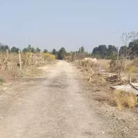 باغچه ۲۵۰ متری کهریزک درسون آباد