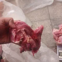 گوشت شترمرغ