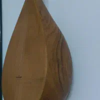 دو تار خوش صدای خراسان