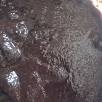 رب انار ترش کیلویی۲۵۰،شیرین۲۳۰،ملس۲۳۰