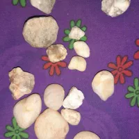 سنگ حقیق و کلکسیونی|کلکسیون اشیاء عتیقه|زهک, |دیوار