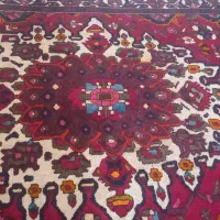 قالی محلی|فرش|ایذه, |دیوار