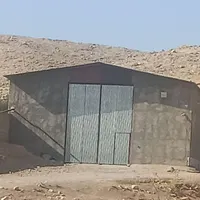 کارگر مرغداری( پلدختر )