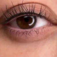 Off50%|بلیت|کرمان, |دیوار