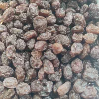 شیره وکشمش|خوردنی و آشامیدنی|دشتابی, |دیوار