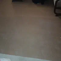 موکت نو ولی شسته نشده