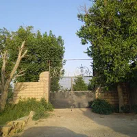 زمین و باغ با چاه عمیق مناسب گلخانه و مرغداری|فروش زمین و ملک کلنگی|ابهر, |دیوار