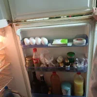 یخچال و فریزر|یخچال و فریزر|رشت, پاستوریزه|دیوار