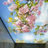 اجرای تایل و کمپارس