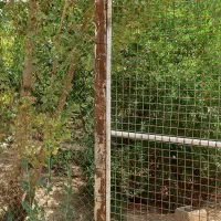 باغچه