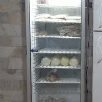 یخچال و فریزر مغازه|فروشگاه و مغازه|خلجستان, |دیوار