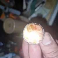 انگشتر سلطانی قرمز کمیاب       خاتم سلطانی احمر|کلکسیون اشیاء عتیقه|اهواز, عین ۲|دیوار