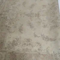 فرش12متری مشهد|فرش|مشهد, تربیت (صدف)|دیوار