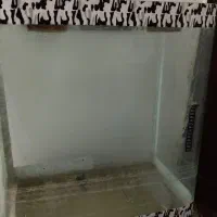آکواریوم