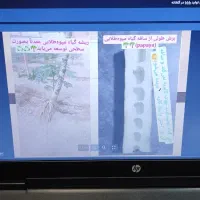 لپ تاپ zbook HPمدل صنعتی و گیمینگ