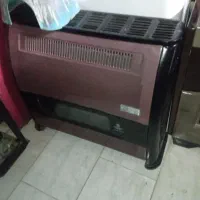 3 عدد بخاری سالم بزرگ