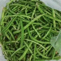 لوبیا ماشی بومی درجه یک