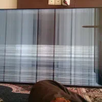 تلوزیون اسنوا۶۵ اینچ ضربه خورده معاوضه باپلی استی