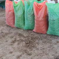 کود پوسیده گاوی