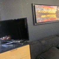 تلویزیون ۲۹ اینچ ایکس ویژن