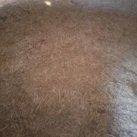 کاه گندم|لوازم جانبی حیوانات|شاهیوند, |دیوار