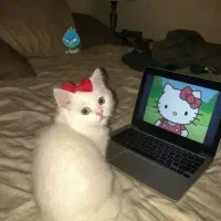 آموزش زبان متوسطه اول و دوم