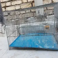 قفس پرنده|لوازم جانبی حیوانات|اصفهان, ارزنان|دیوار
