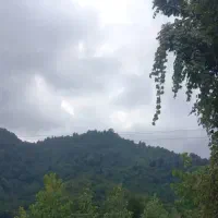 اجاره روزانه/هفتگی/ماهانه آپارتمان ۷۰ متری|اجارهٔ کوتاه‌مدت آپارتمان و سوئیت|گوراب زرمیخ, |دیوار