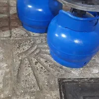 پیک نیک سالم استاندارد|اجاق گاز و لوازم برقی پخت‌وپز|قزوین, |دیوار