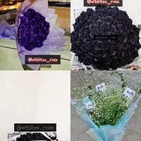 بوکت پروانه و رُز روبانی زیبا