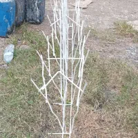 پخش شاخ گوزنی|مصالح و تجهیزات ساختمان|آمل, |دیوار