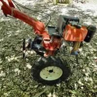 پاکنی درخت باغ و باغچه هماشهر