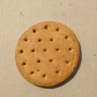 پخش بیسکویت|خوردنی و آشامیدنی|قم, قلعه کامکار|دیوار