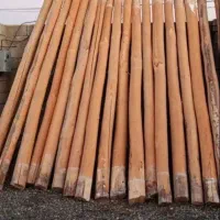 خرید چوب سقفی یاهمون دام تیری سالم وپوسیده|خدمات باغبانی و درختکاری|تاکستان, |دیوار