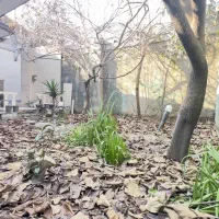 ویلا-150متری-سند-دار-بابل